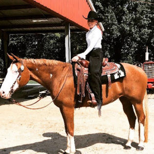 Meet your Posher, Shelby